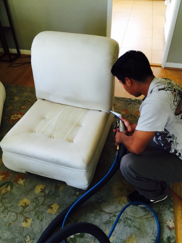 Upholstery Cleaning